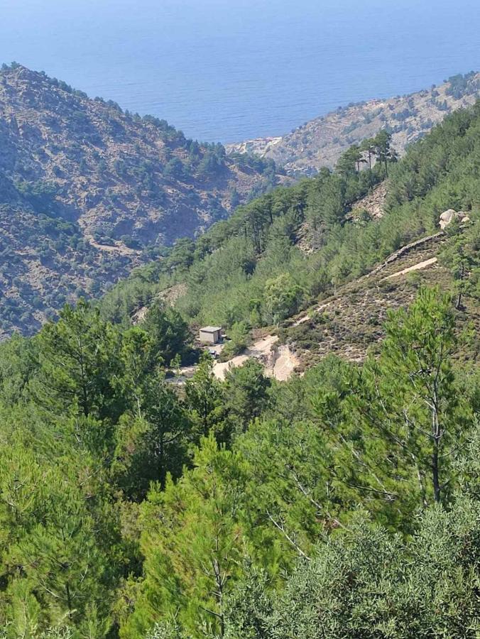 Aelio Daire Raches  Dış mekan fotoğraf